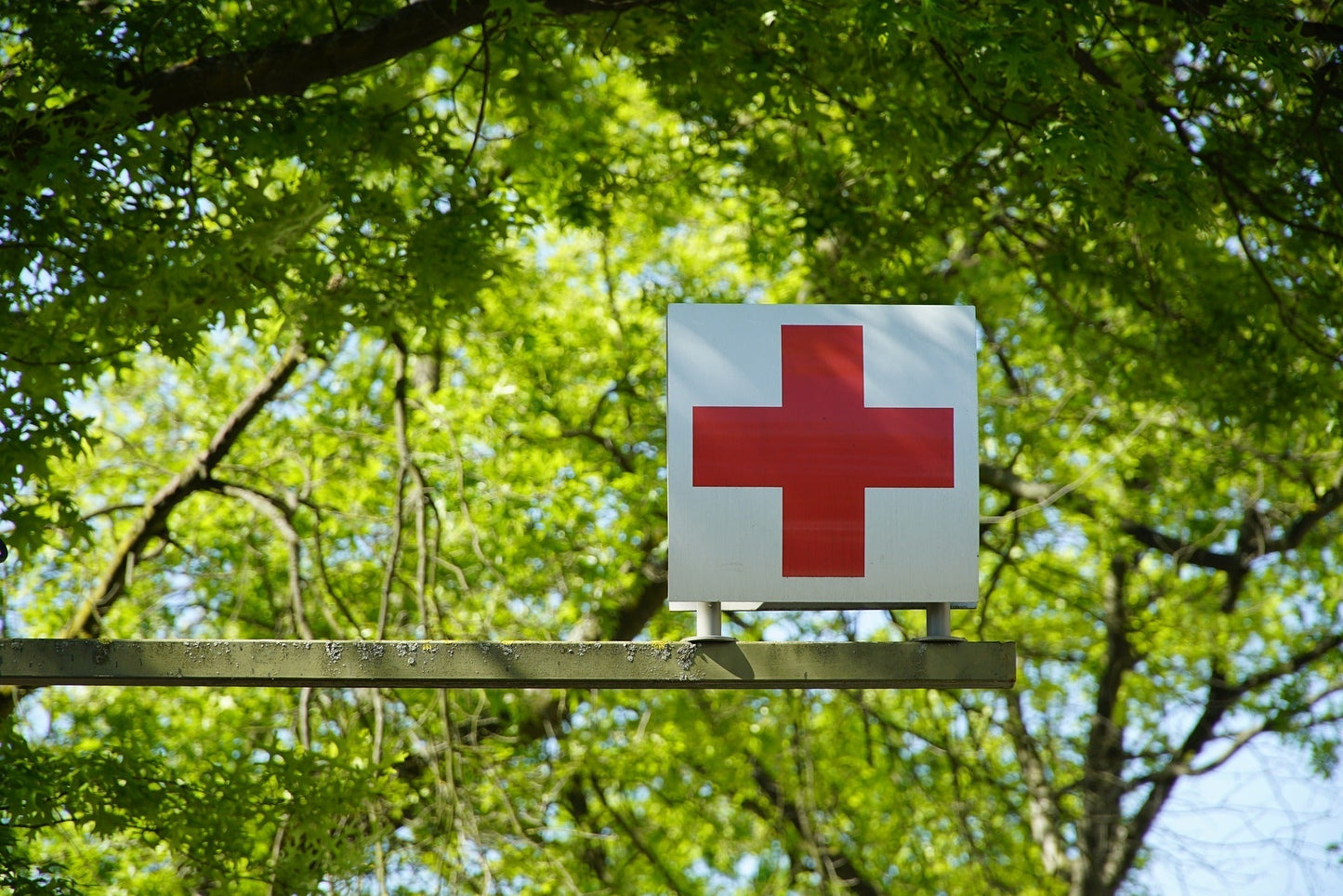 FriedWald Bestattung Abholung im Krankenhaus